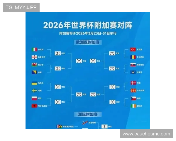 2026年瑞典与突尼斯世界杯比赛指数详解及赛前专家预测分析 2026年瑞典与突尼斯世界杯比赛指数详解及赛前专家预测分析